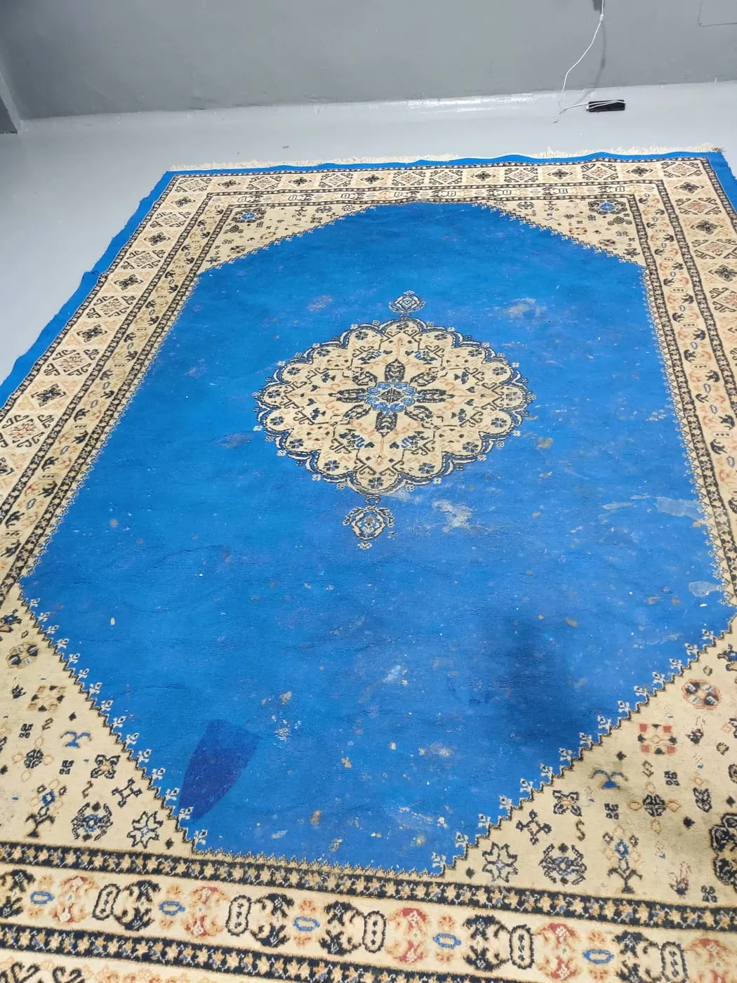 Avant nettoyage : tapis et moquettes, exemple 2