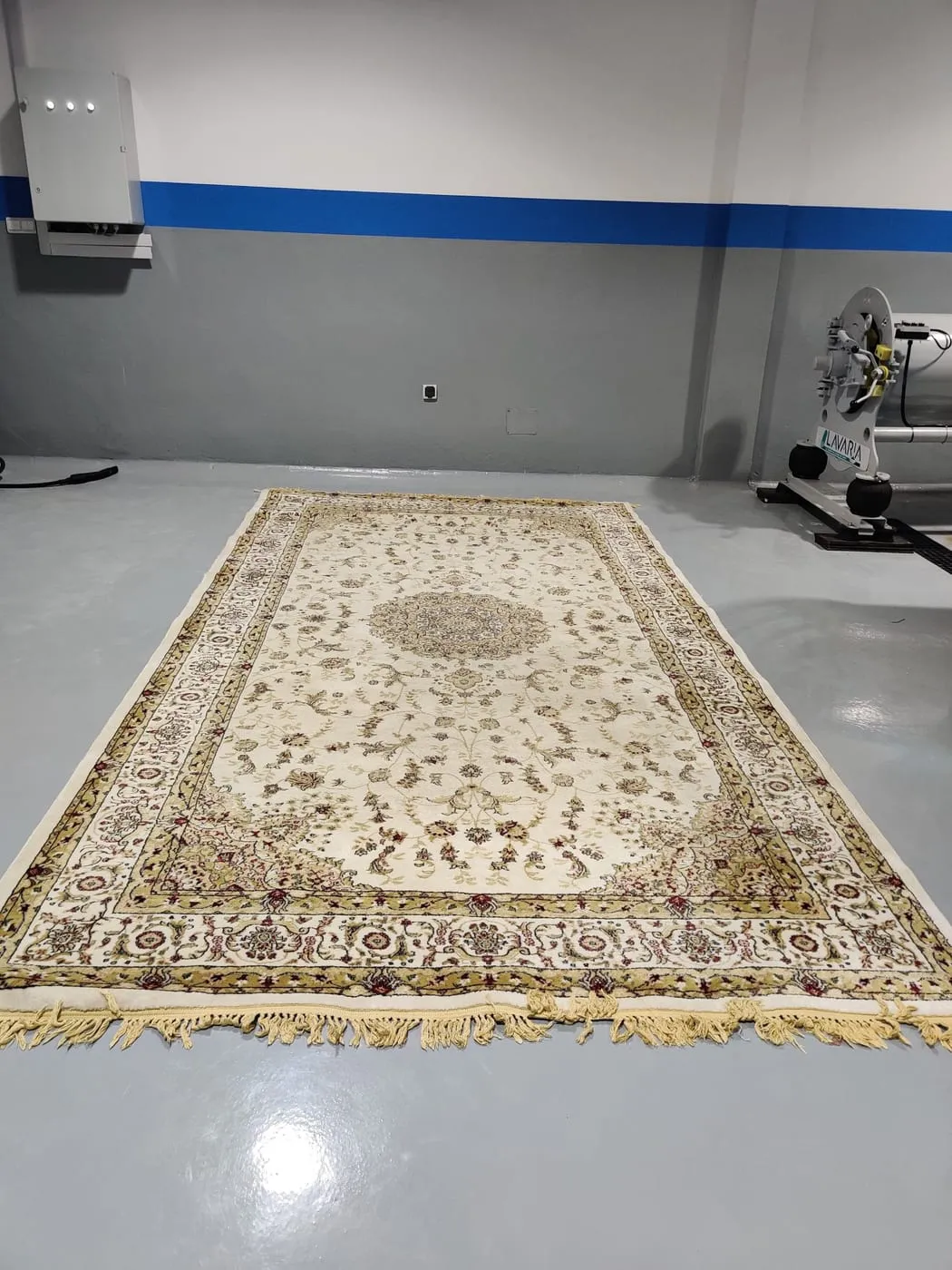 Avant nettoyage : tapis et moquettes, exemple 3