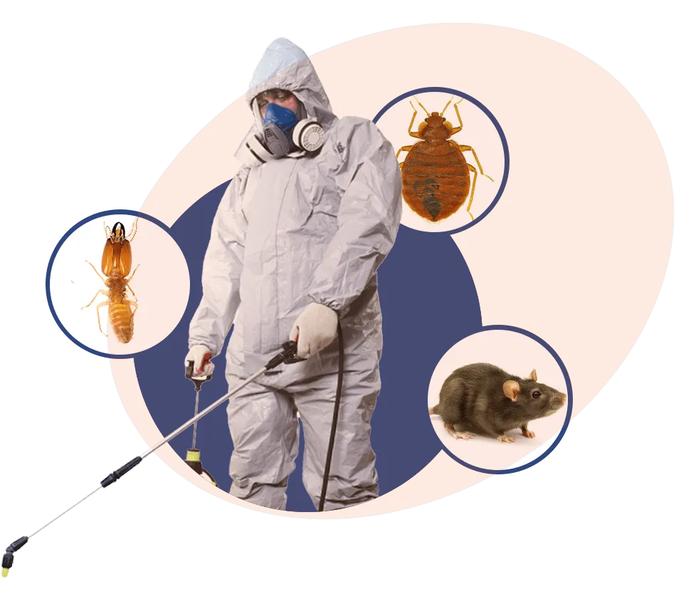 Technicien en tenue de protection traitant contre les rats, cafards et punaises de lit